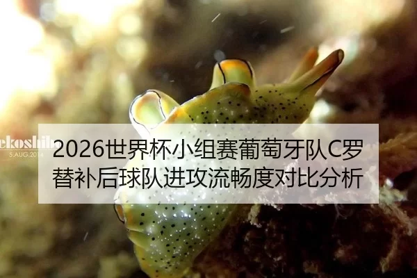 2026世界杯小组赛葡萄牙队C罗替补后球队进攻流畅度对比分析